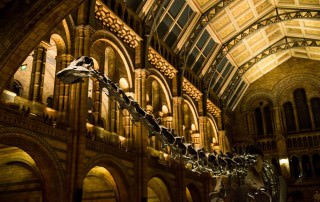 London Event Photographer Natural History Museum Photography